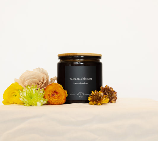 The Soft Life Edit